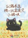 公路求生,榜一玩家是只小猫咪