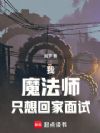 我,魔法师,只想回家面试