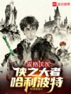 霍格沃茨:侠之大者,哈利波特