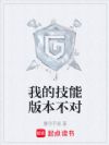 我的技能版本不对