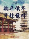 红楼:躺平侯爷,开枝散叶