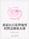 剑修她娇柔可欺?豪门怎么全跪了