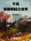 半岛:饭圈暧昧企业家